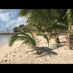 Meet your Posher, Rey